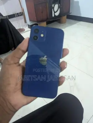 Apple iPhone 12 (Used)