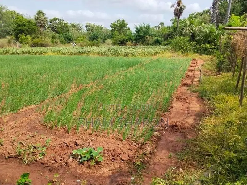 Land Sale Vavuniya