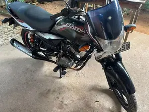 Bajaj Platina 125 2010