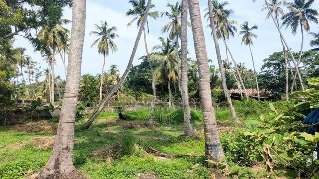 20 Perch Land for Sale in Wennapuwa