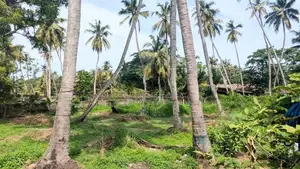 20 Perch Land for Sale in Wennapuwa