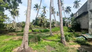 20 Perch Land for Sale in Wennapuwa