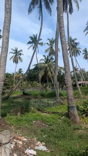 20 Perch Land for Sale in Wennapuwa
