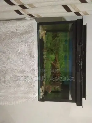 2 Fish Tanks