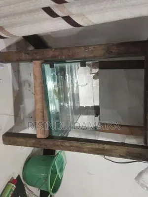 2 Fish Tanks