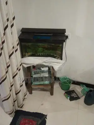 2 Fish Tanks