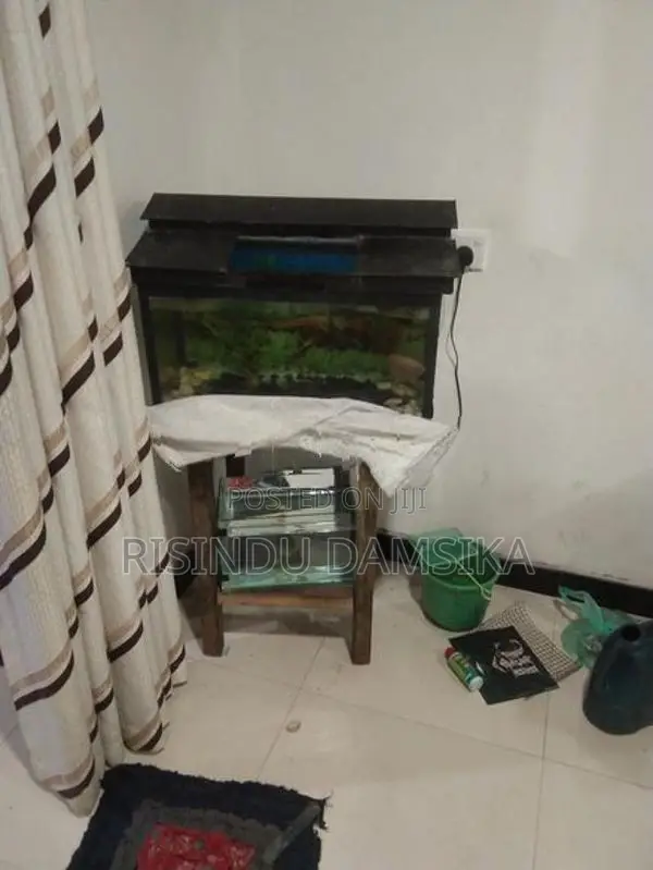 2 Fish Tanks