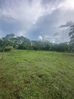 අක්කර 5ක ඉඩමක් වැවකට මායිම්ව විකිනිමට ඇත තනමල්විල