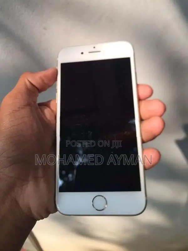 Apple iPhone 6S (Used)