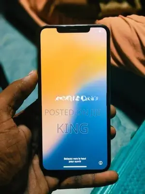 Apple iPhone XS Max (Used)