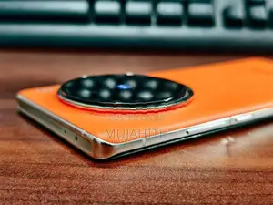 Vivo X100 Pro 512GB (Used)