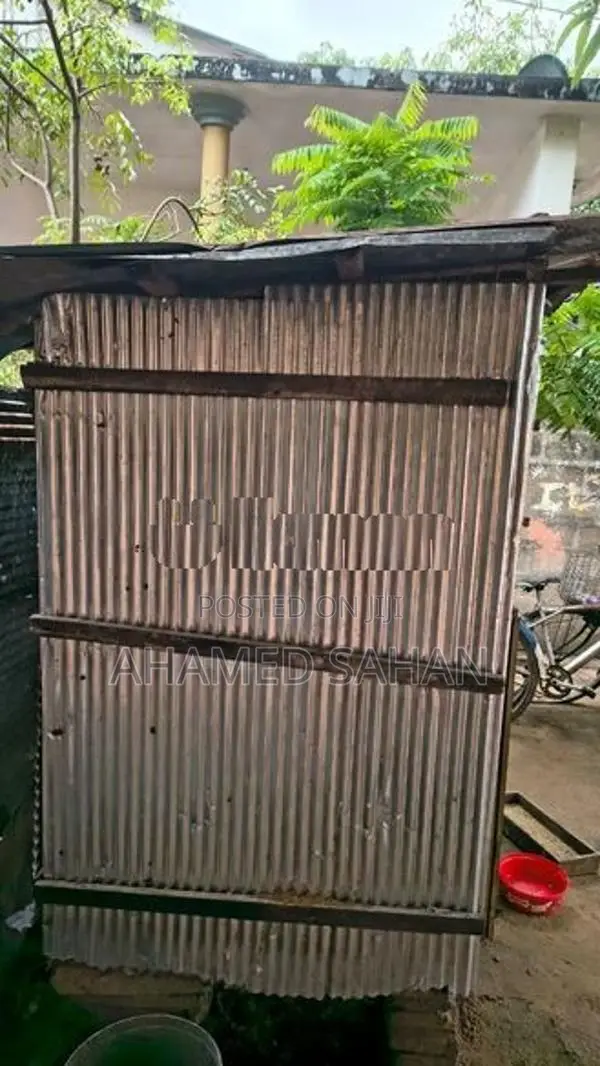 Pigeon Cage