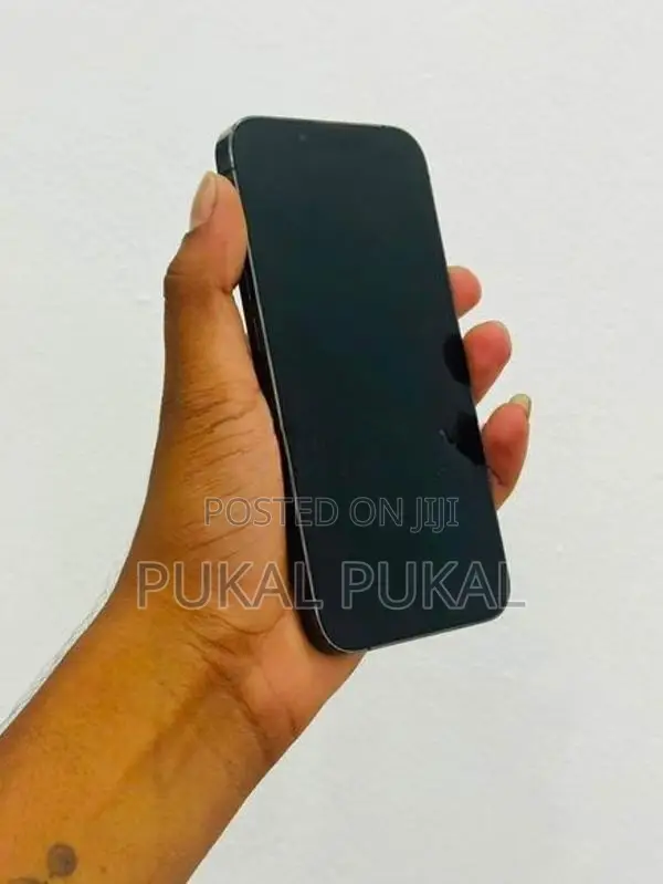 Apple iPhone 13 Pro Max (Used)