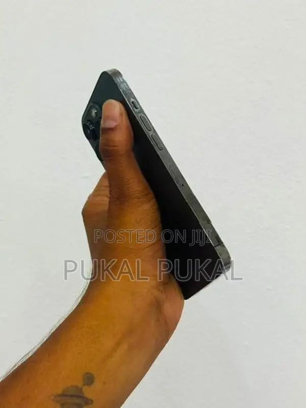Apple iPhone 13 Pro Max (Used)