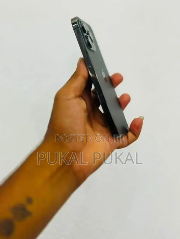 Apple iPhone 13 Pro Max (Used)