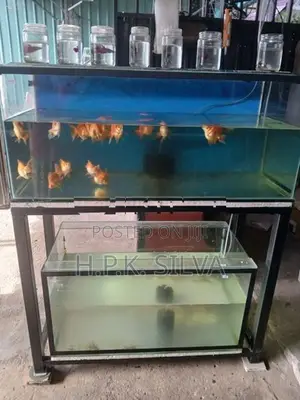 Fish Tank With Stand