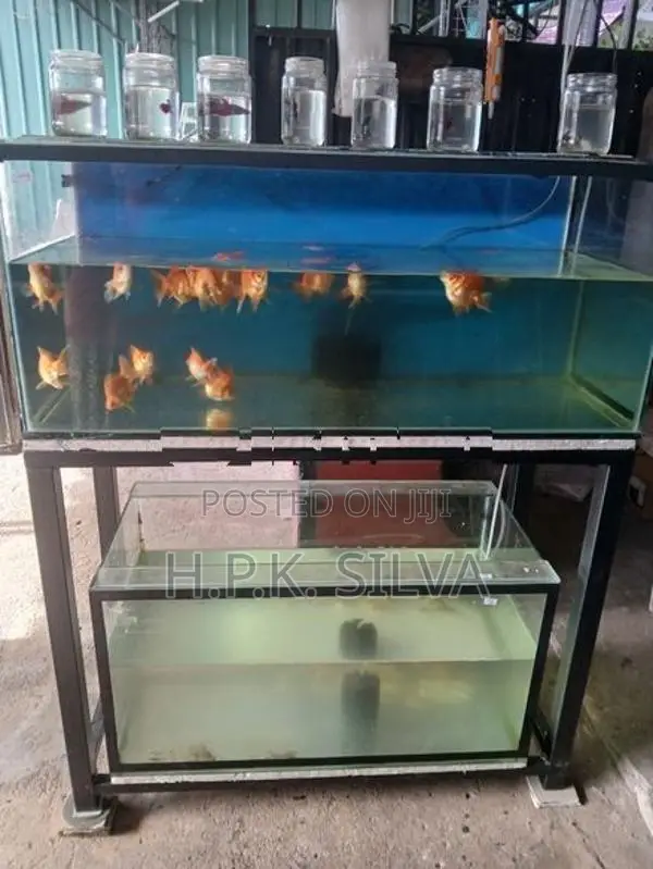 Fish Tank With Stand