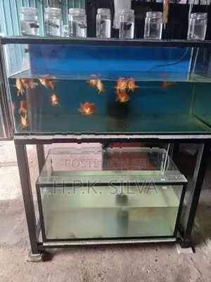 Fish Tank With Stand