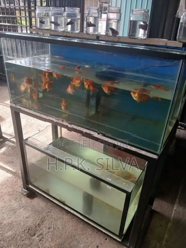 Fish Tank With Stand