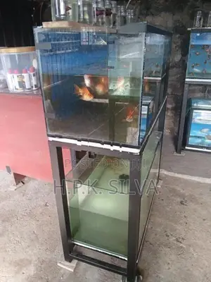 Fish Tank With Stand