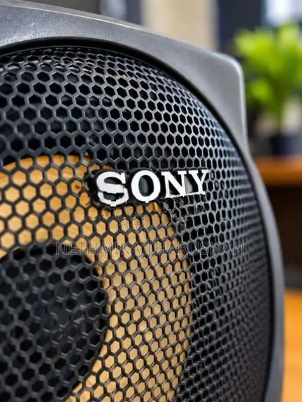 Sony RV6