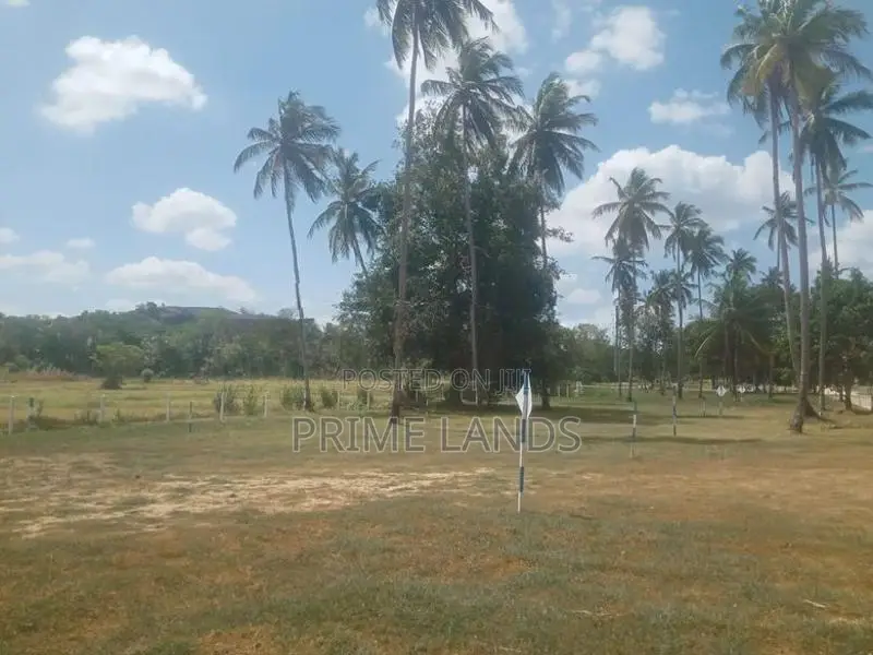 Land in Kurunegala Road, Wariyapola