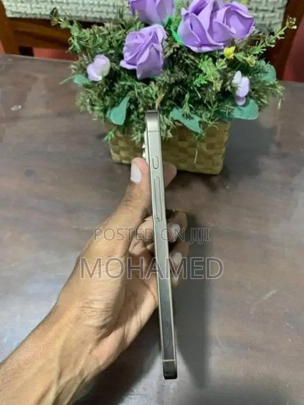 Apple iPhone 16 Pro Max 512GB (LL/A) (Used)