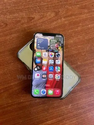 Apple iPhone 12 Pro Max 256GB (Used)