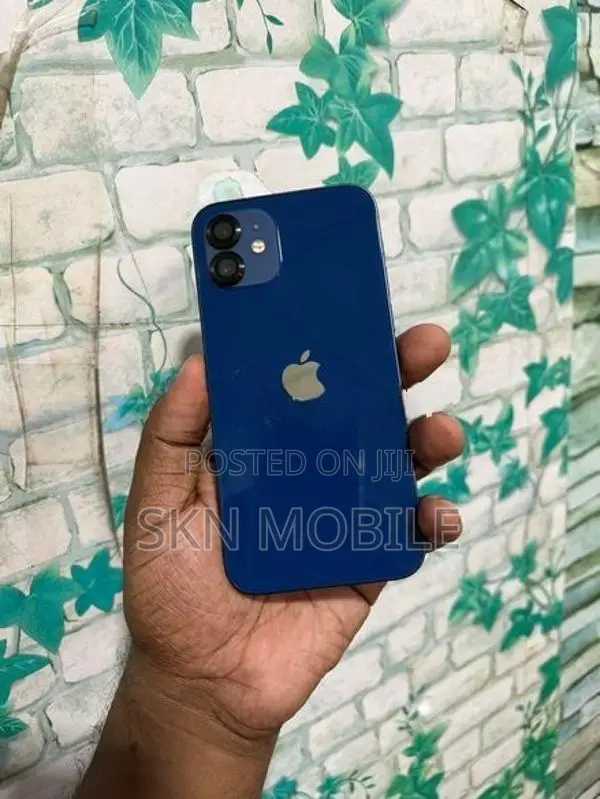 Apple iPhone 12 128GB (Used)