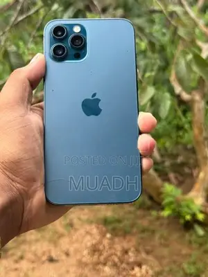 Apple iPhone 12 Pro Max (Used)