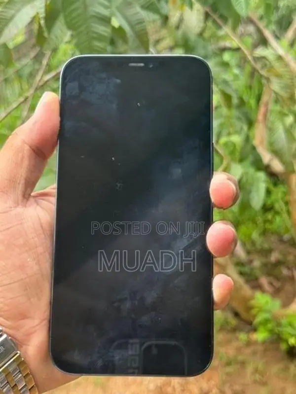 Apple iPhone 12 Pro Max (Used)