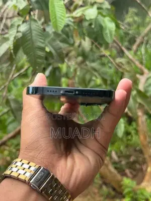 Apple iPhone 12 Pro Max (Used)