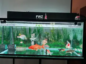 4 Feet Fish Tank