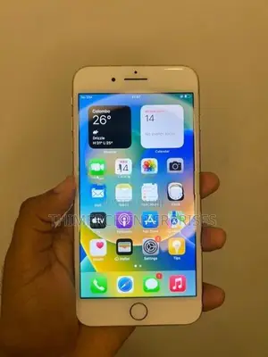 Apple iPhone 8 Plus (Used)