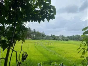 Residential Land In Homagama Town