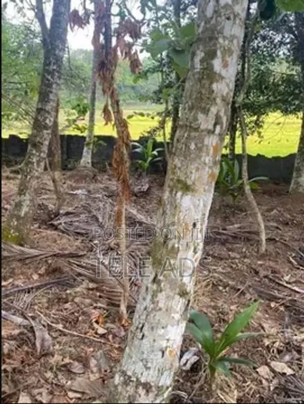 Residential Land In Homagama Town