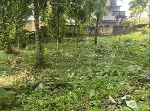 Residential Land In Homagama Town