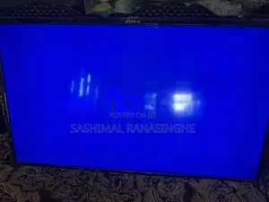 Singer Tv