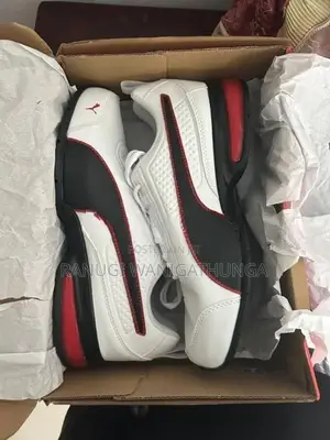 Brand New Puma Shoes