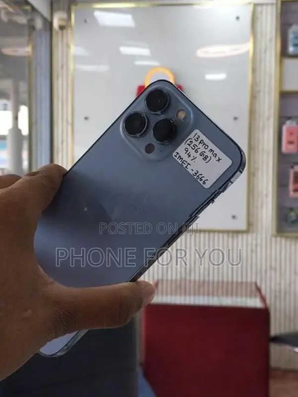 Apple iPhone 13 Pro Max (Used)