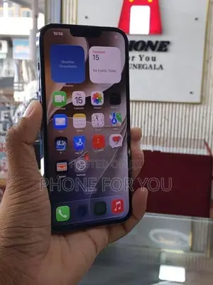 Apple iPhone 13 Pro Max (Used)