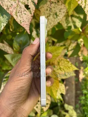 Apple iPhone 14 (Used)