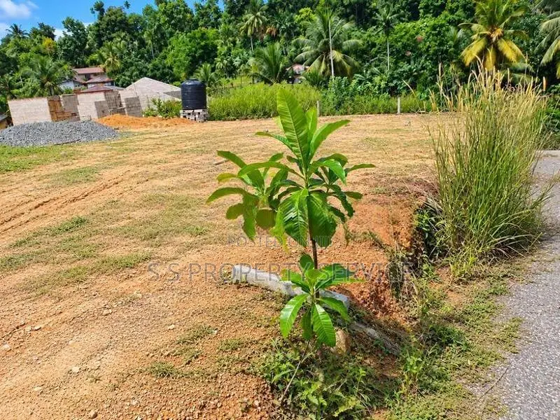 12.5 Perches Land For Sale In Akmeemana, Galle.(SSPL-544)