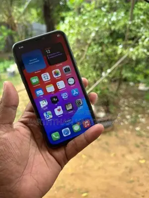 Apple iPhone 11 (Used)