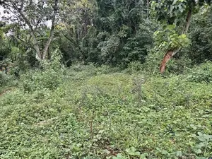 20 Perches Flat Land for Sale Matale