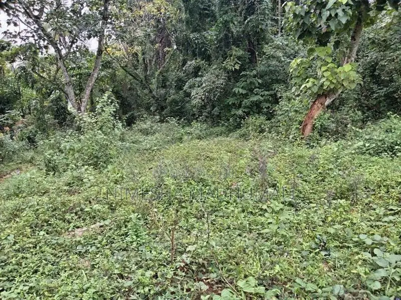 20 Perches Flat Land for Sale Matale