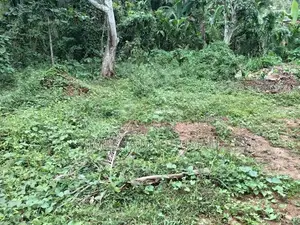 20 Perches Flat Land for Sale Matale