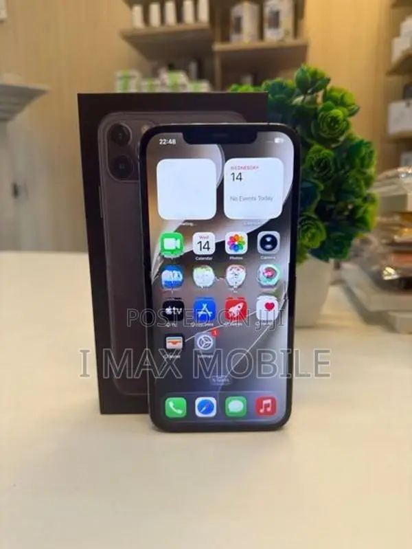 Apple iPhone 12 Pro Max 256GB (Used)