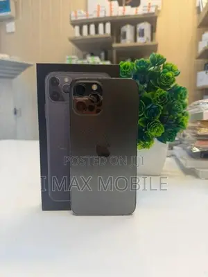 Apple iPhone 12 Pro Max 256GB (Used)
