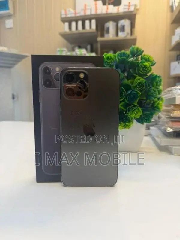 Apple iPhone 12 Pro Max 256GB (Used)